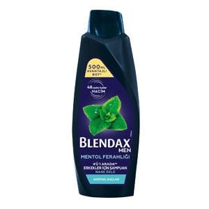 BLENDAX ŞAMP. 500 ML MEN MENTHOL