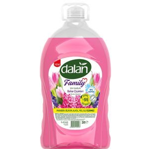 DALAN SIVI SABUN 3 LT BAHAR